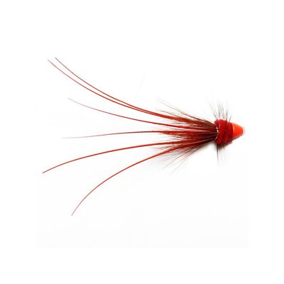 Embers Shrimp Conehead 6Mm