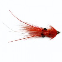 Islamouth Shrimp Feeler Conehead 10Mm