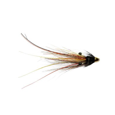 Pump House Shrimp Feeler Conehead 10Mm