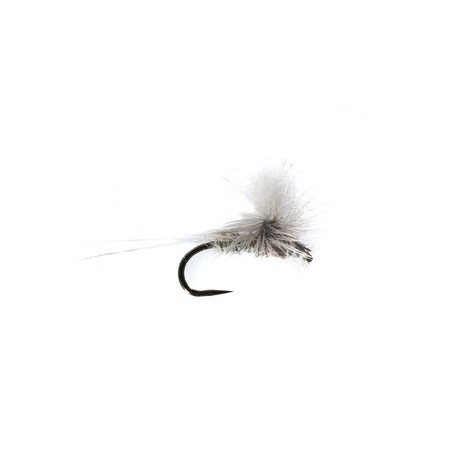 Barbless White Water Dry - 1