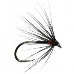 Red Spot Spider Barbless - 1