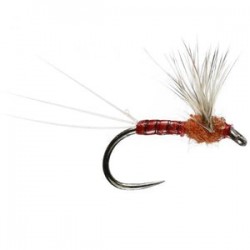 Sherry Spinner Barbless - 1