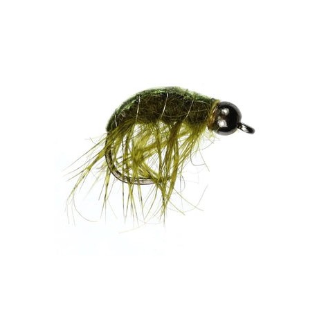 Super Diving Shrimp - 1