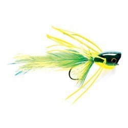 Bass Popper Frog - 1