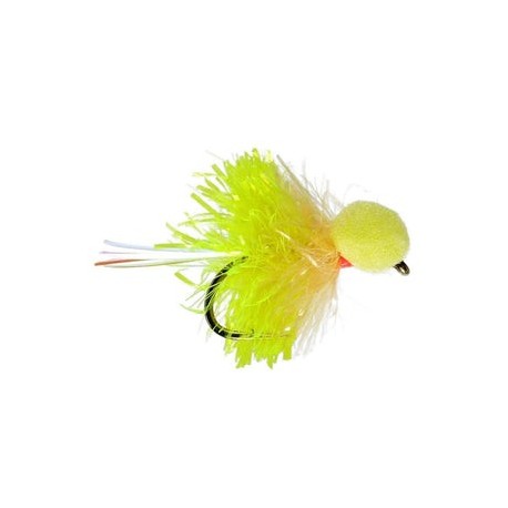 Biscuit Booby Barbless - 1