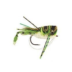 Cohen's Frog Legged Popper