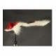 Diver Red White Deer Hair - 1