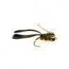 Dry Rind Frog Popper