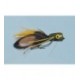Olive Yellow Bass Pop - 1