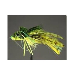 Swimming Frog Yellow Belly - 1