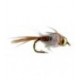 Bead Head Hot Belly Pheasant Tail Pearl - 1