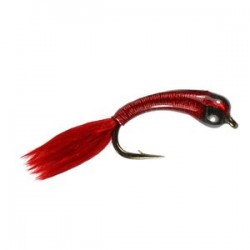 Beaded Bloodworm Stalking Bug