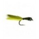 Beaded Olive Stalking Bug - 1