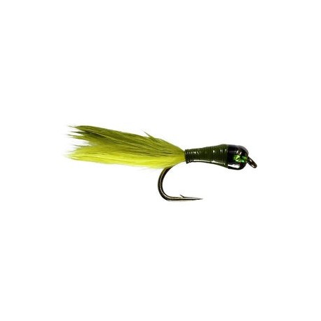 Beaded Olive Stalking Bug - 1