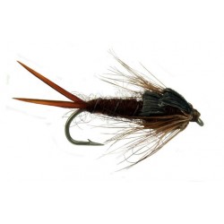 Brown Stone Fly Nymph - 1