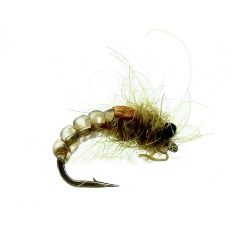 Caddis Pupa Olive - 1