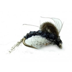 CDC Adams Looped Winged Energer - 1