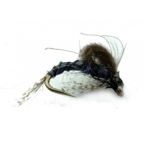 CDC Adams Looped Winged Energer - 1