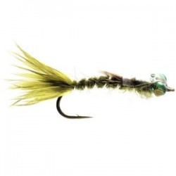 Curveback Damsel - 1