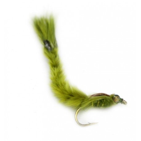 Damsel Fly Nymph - 1