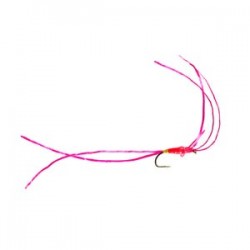 Pink Hotspot Worm - 1