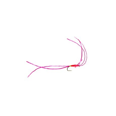Pink Hotspot Worm - 1