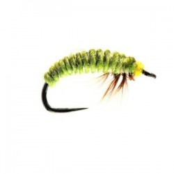 Rhyacophila Larva Czech Nymph - 1