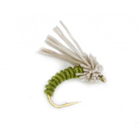 Serendipity Olive - 1