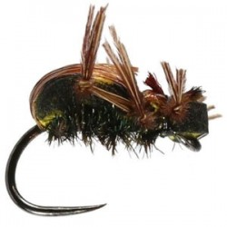 Brown Foam Beetle Barbless - 1