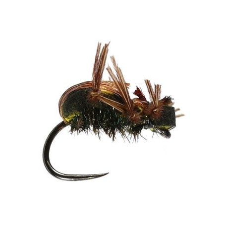 Brown Foam Beetle Barbless - 1