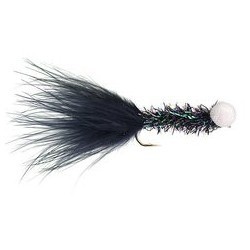 Black Chrystal Attractor - 1