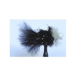 Booby Black and White - 1