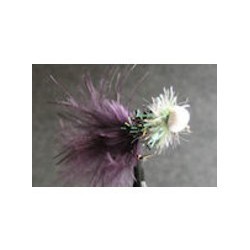 Booby Black Fritz White - 1