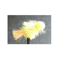 Booby Sunburst Fritz - 1