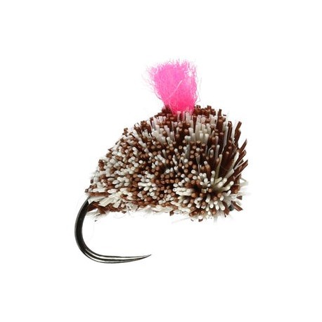 Carp Dog Biscuit Barbless - 1