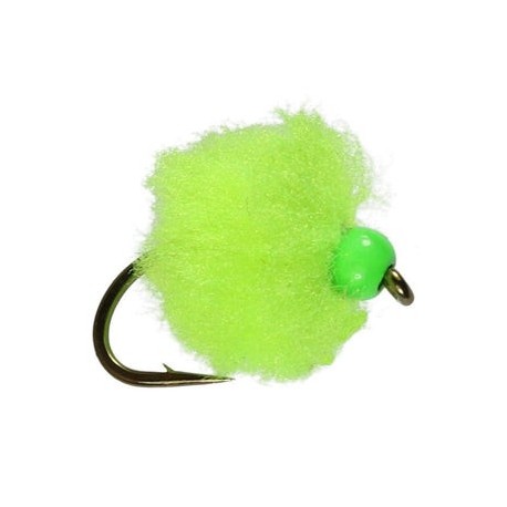 Egstasy Egg Shrek - 1