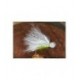 Pseudo Cat Booby White Chart - 1