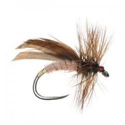 Cinnamon Sedge Barbless - 1