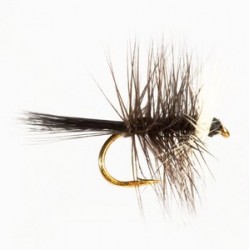 Bi Visable Black - 1