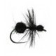 Black Ant