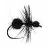 Black Ant