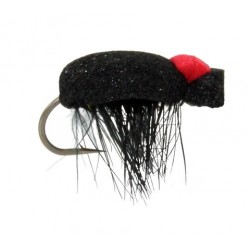 Black Foam Beetle Red Back - 1