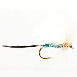 Blue Damsel Dry Male - 1