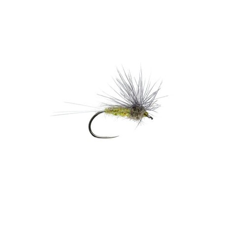 Blue Winged Olive Stacked Hackle - 1