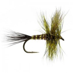 Brown Drake Mayfly