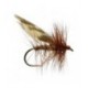 Brown Flag Sedge - 1