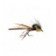 Cdc Daddy Long Legs