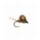 Cdc Emerger Hares Ear