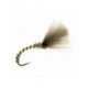 Cdc Flies C