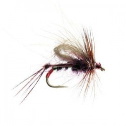 Cdc Hopper Claret